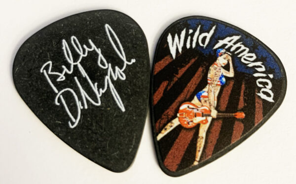 Guitar Picks (2 for $1) - Image 2